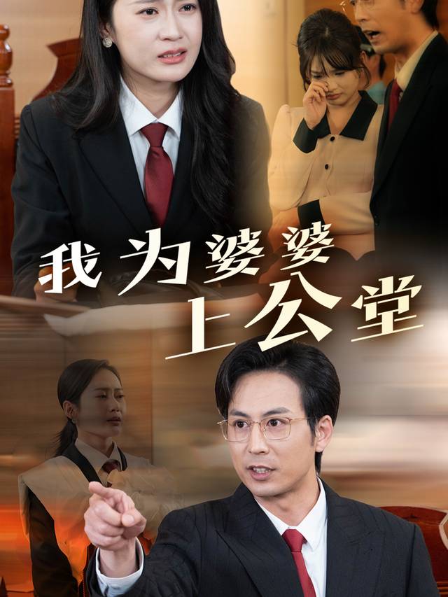 我为婆婆上公堂封面