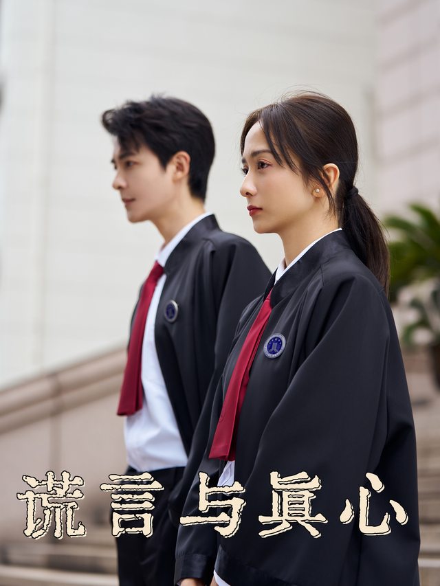 谎言与真心封面