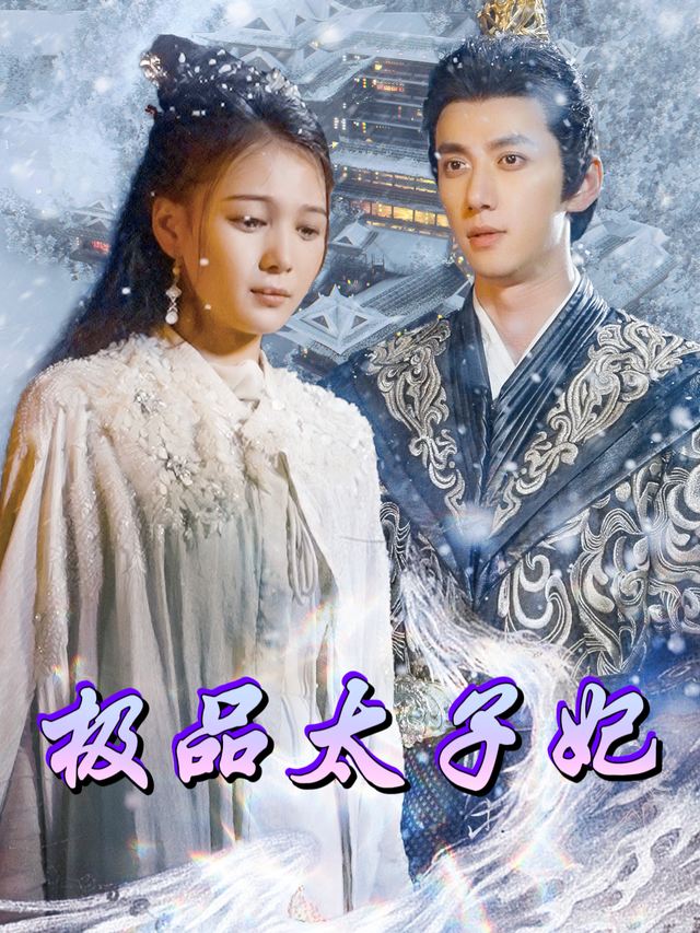 极品太子妃封面