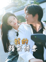 我的精英娇妻封面