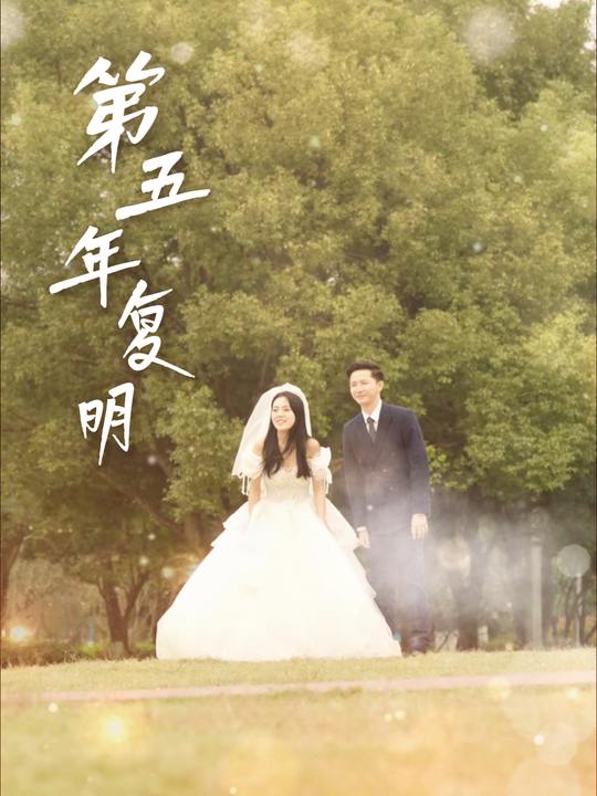 第五年复明封面