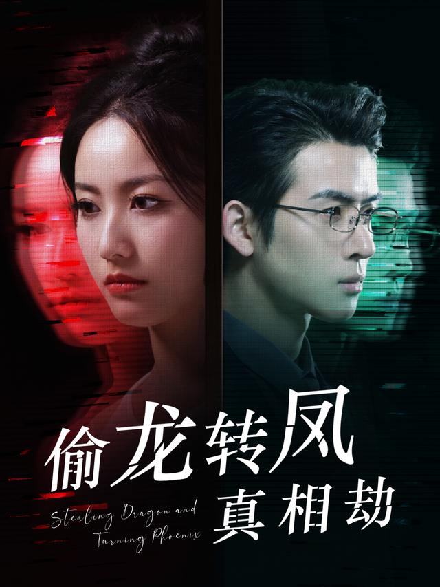 偷龙转凤真相劫封面