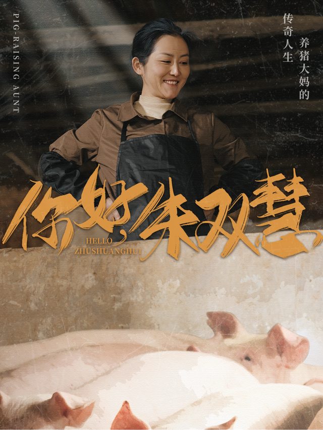 你好,朱双慧封面