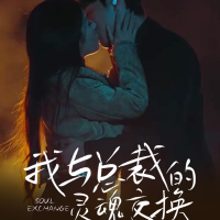 我与总裁的灵魂交换封面