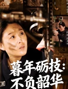 暮年砺技:不负韶华封面