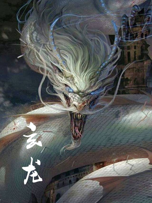 玄龙封面