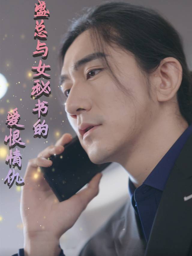 盛总与女秘书的爱恨情仇封面