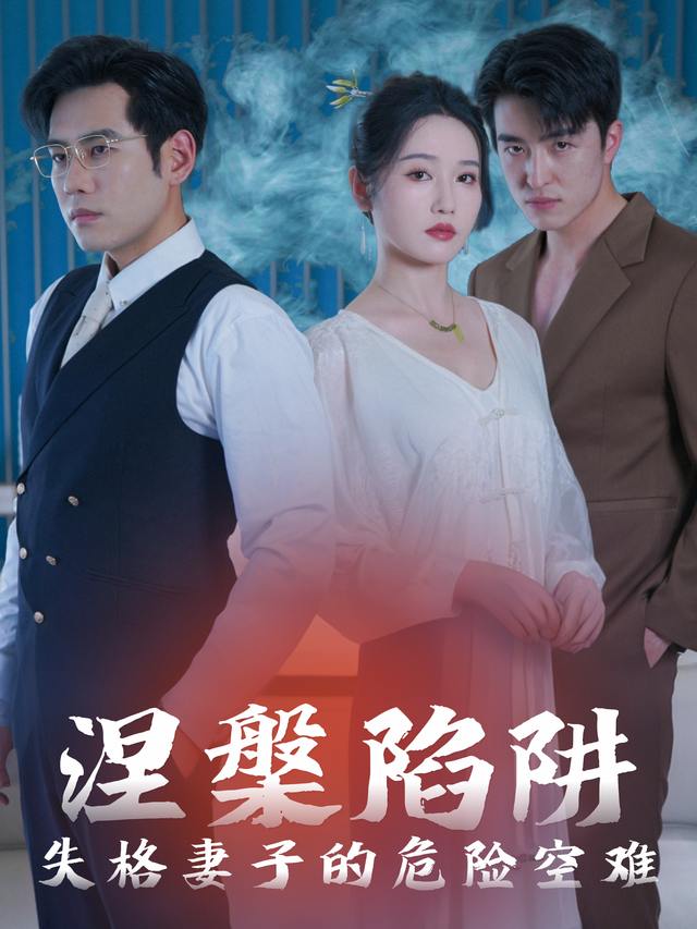 涅槃陷阱:失格妻子的危险空难封面