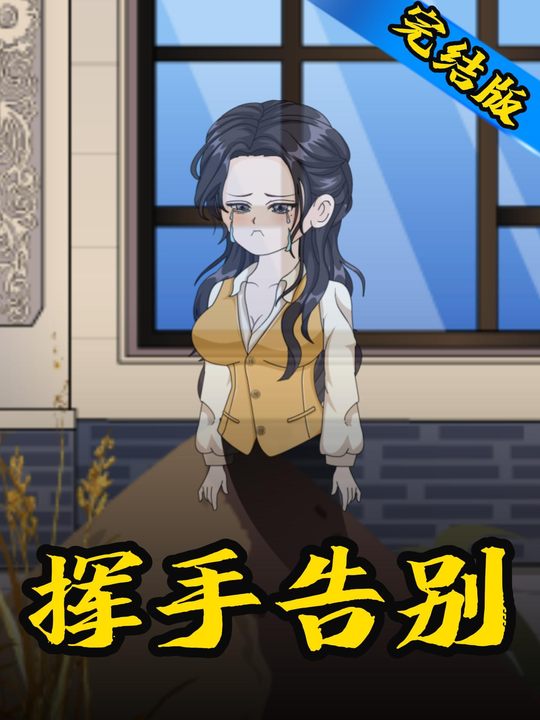 挥手告别封面