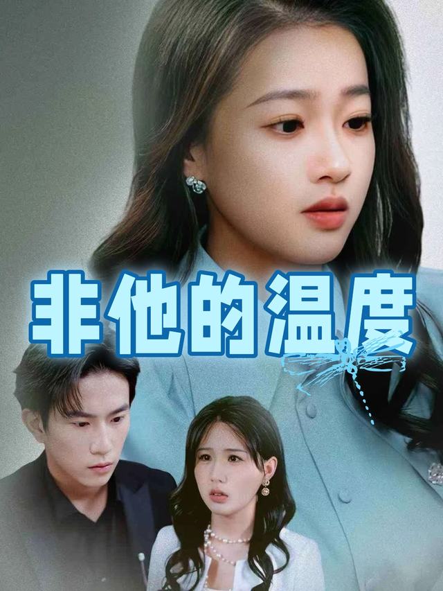 非他的温度封面