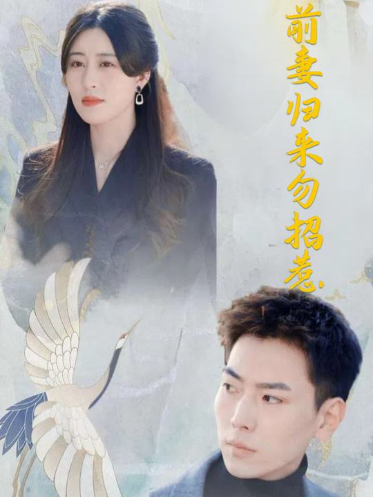 前妻归来勿招惹封面
