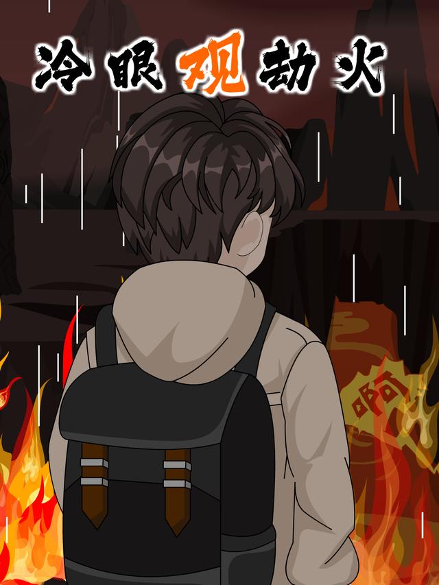 冷眼观劫火封面