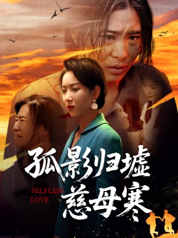 孤影归墟慈母寒封面