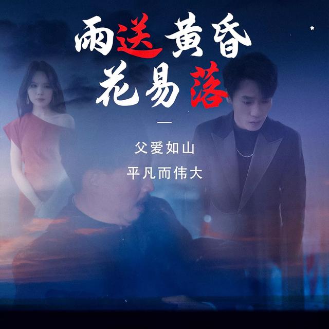 雨送黄昏花易落封面