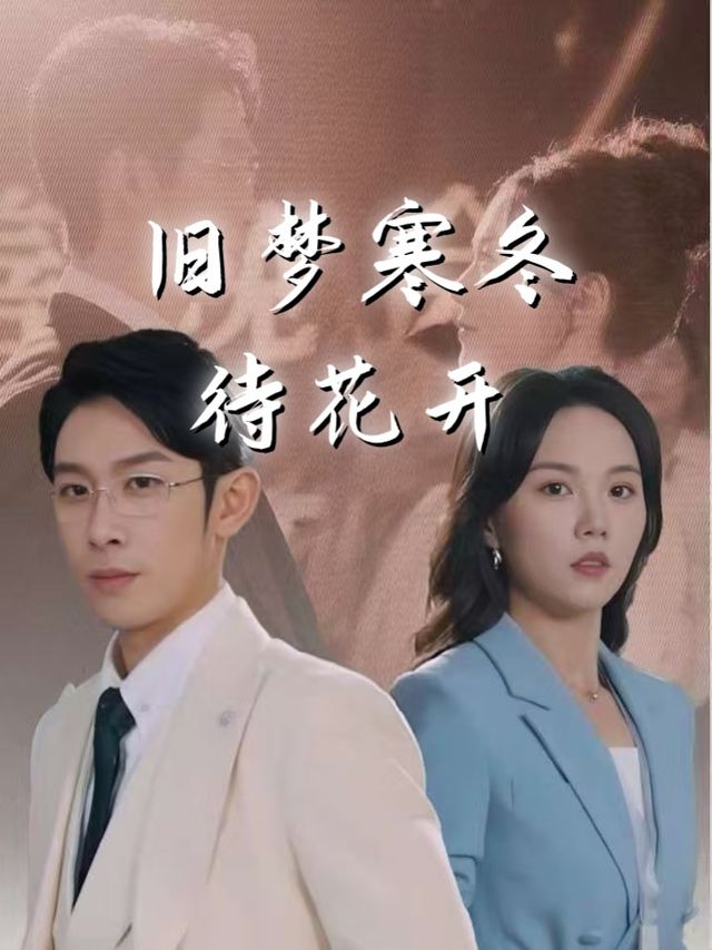 旧梦寒冬待花开封面