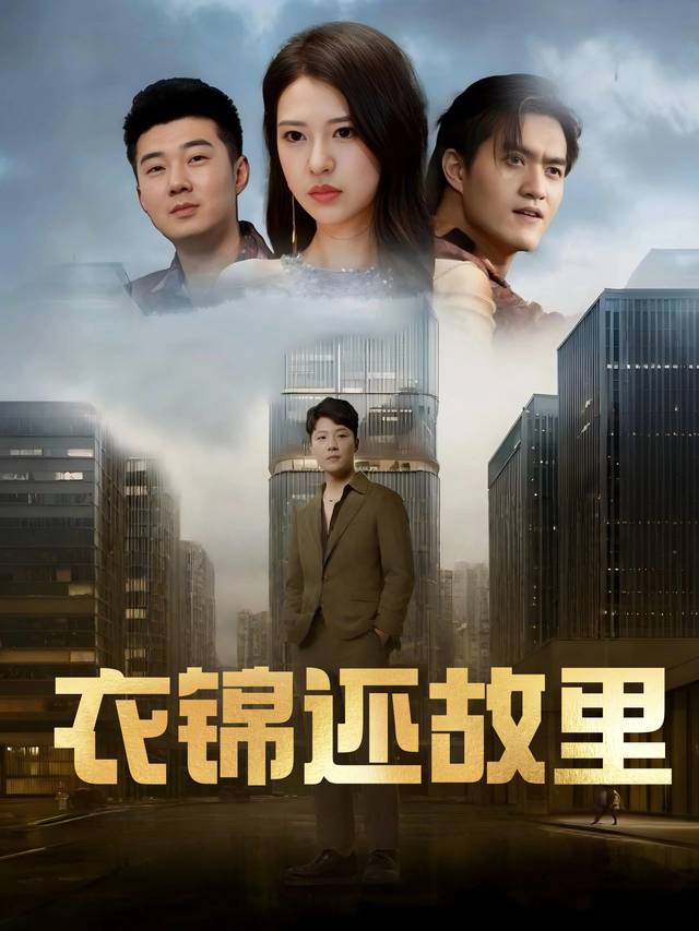 衣锦还故里封面