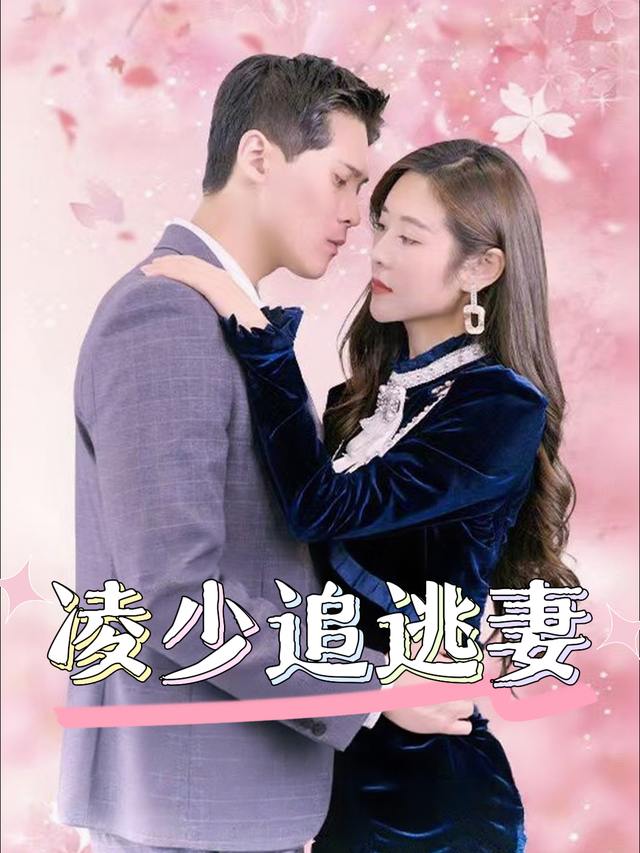 凌少追逃妻封面