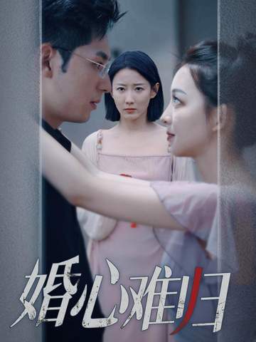 婚心难归封面