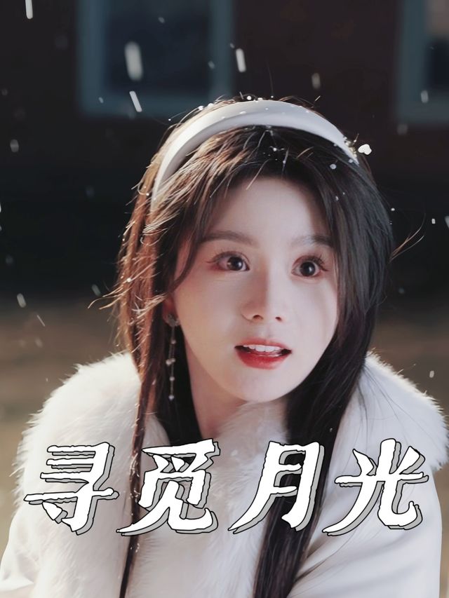 寻觅月光封面
