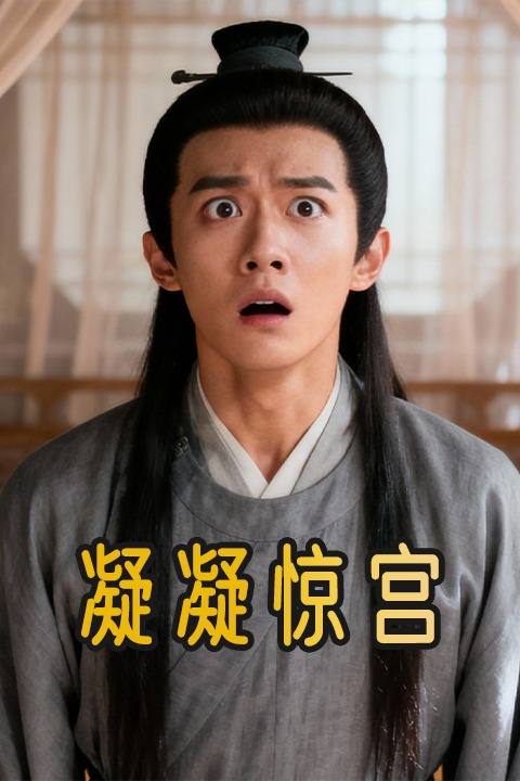 凝凝惊宫封面