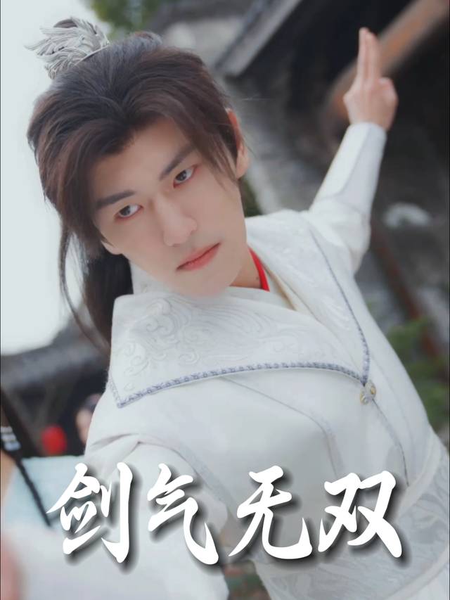 剑气无双封面