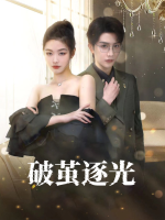 破茧逐光封面