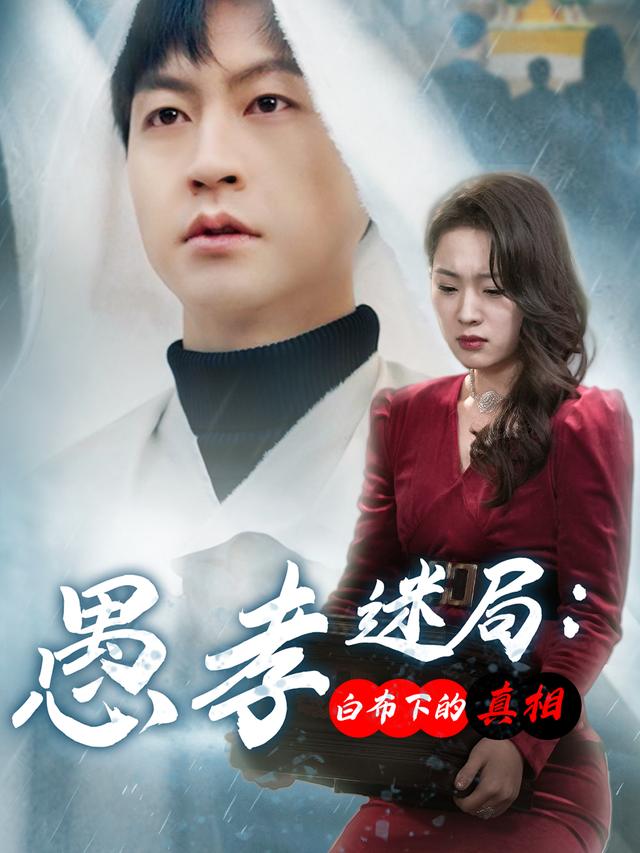 愚孝迷局:白布下的真相封面
