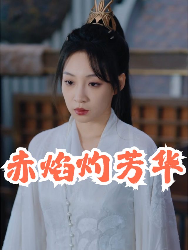 赤焰灼芳华封面