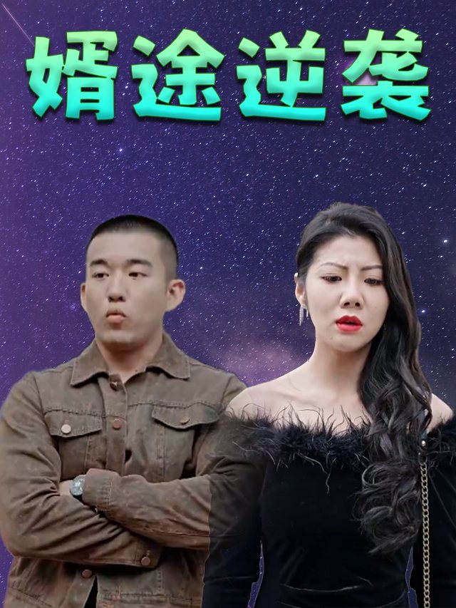 婿途逆袭封面