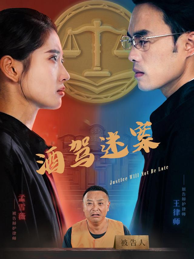 酒驾迷案封面