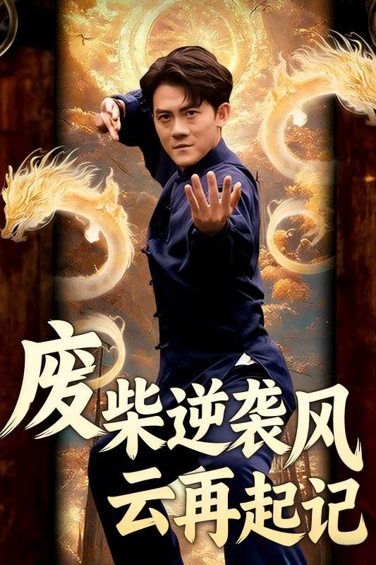 废柴逆袭风云再起记封面