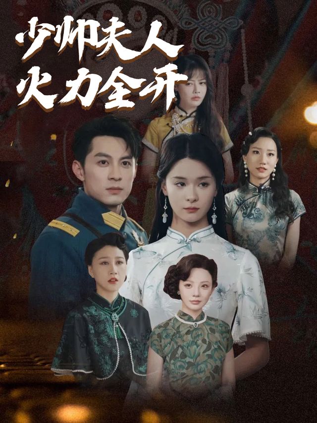 少帅夫人火力全开封面
