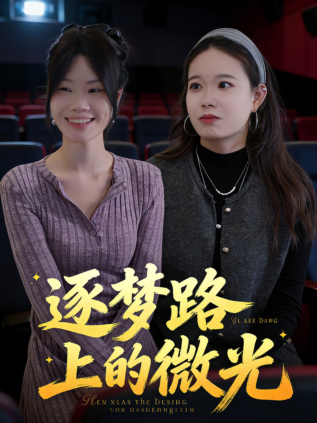 逐梦路上的微光封面