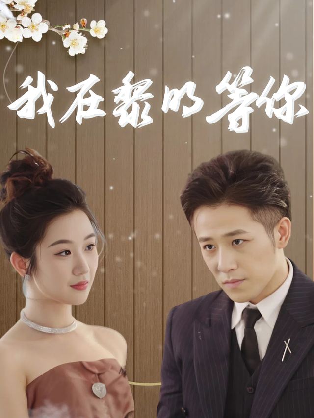 我在黎明等你封面