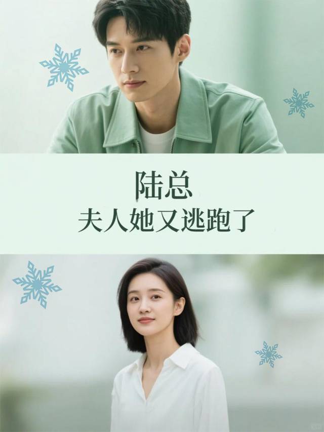 陆总：夫人她又逃跑了封面