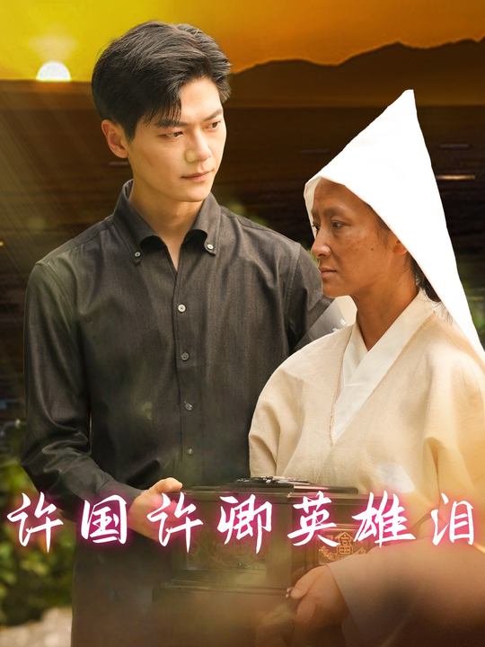 许国许卿英雄泪封面