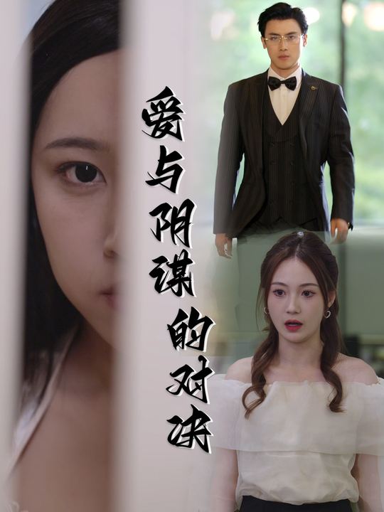 爱与阴谋的对决封面