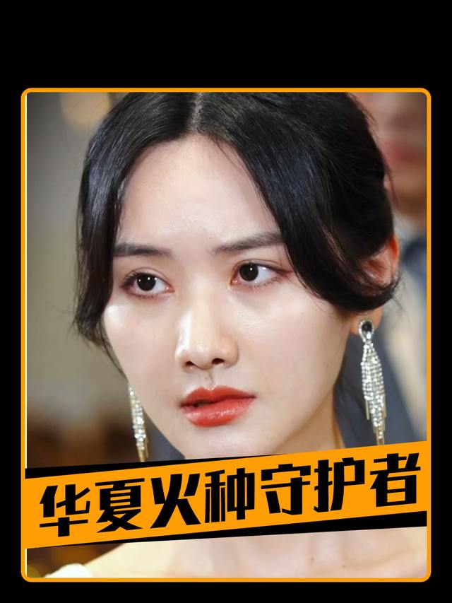 华夏火种守护者封面