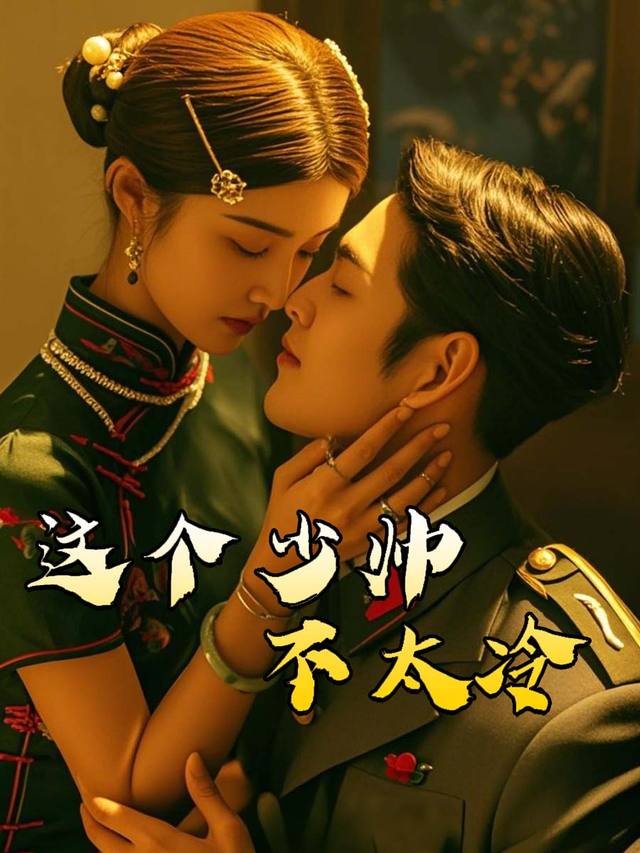 这个少帅不太冷封面