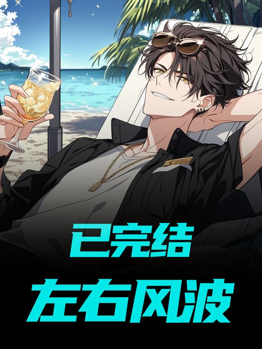 左右风波封面