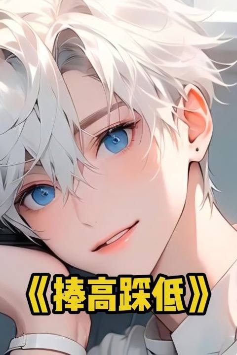 捧高踩低封面