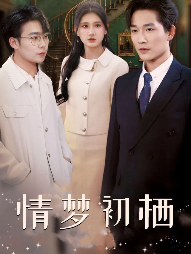情梦初栖封面