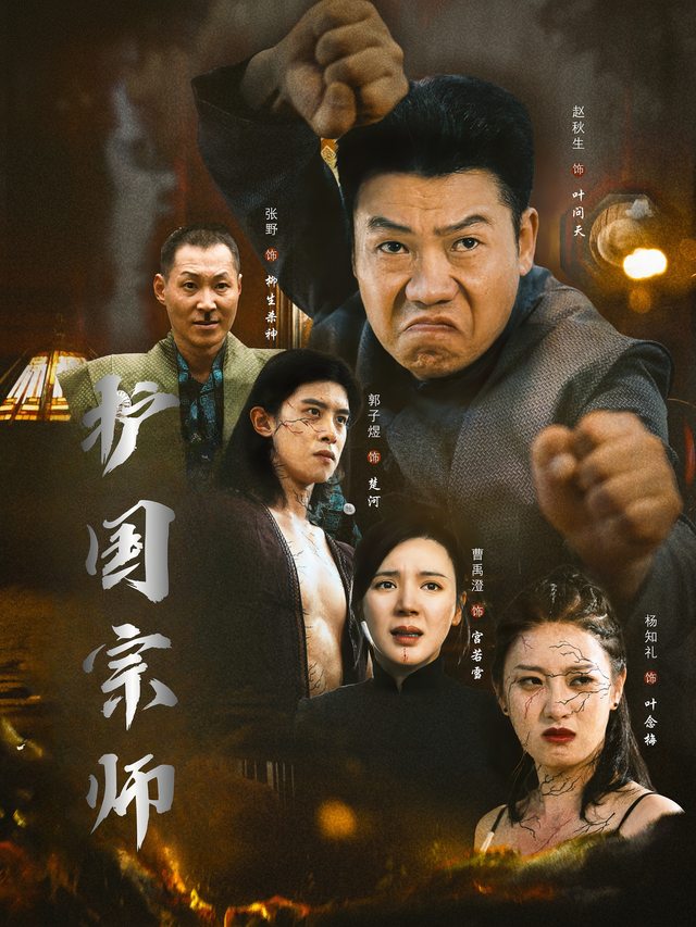 护国宗师封面