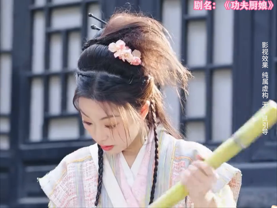 功夫厨娘封面
