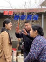 爱孝两难封面