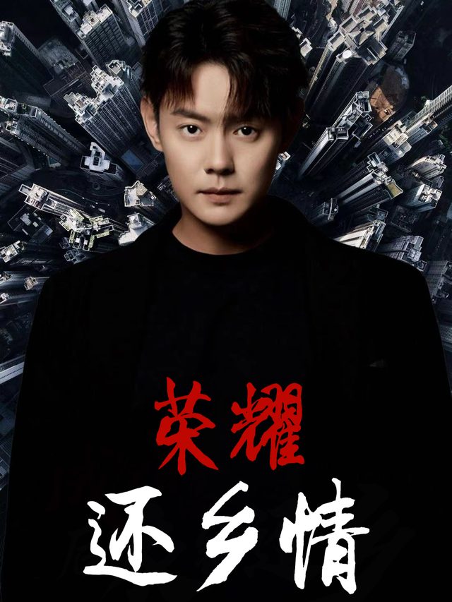 荣耀还乡情封面