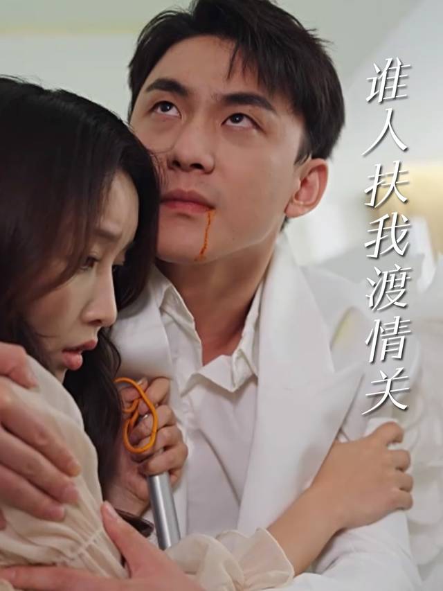 谁人扶我渡情关封面