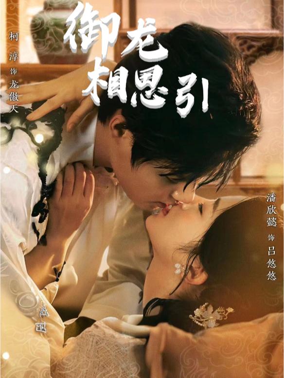 御龙相思引封面