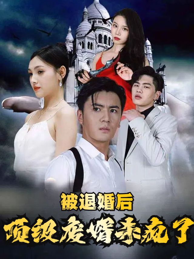 被退婚后顶级废婿杀疯了封面