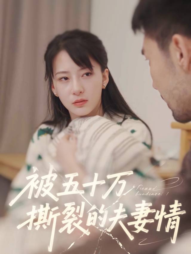 被五十万撕裂的夫妻情封面